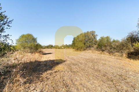 Helårsgrund i Sintra, Lisbon, Sintra - € 4.998.000 | Ref: PB2021211 - foto 8