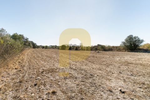 Helårsgrund i Sintra, Lisbon, Sintra - € 4.998.000 | Ref: PB2021211 - foto 9
