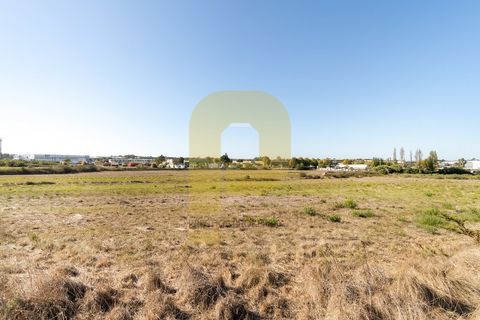 Helårsgrund i Sintra, Lisbon, Sintra - € 4.998.000 | Ref: PB2021211 - foto 10