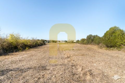 Helårsgrund i Sintra, Lisbon, Sintra - € 4.998.000 | Ref: PB2021211 - foto 11