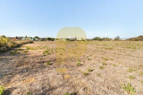 Helårsgrund i Sintra, Lisbon, Sintra - € 4.998.000 | Ref: PB2021211 - foto 12