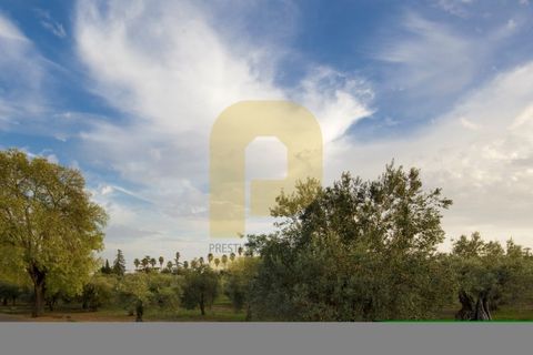 Villa a Elvas, Portalegre, Elvas - € 8.500.000 | Ref: PB2022286 - foto 28