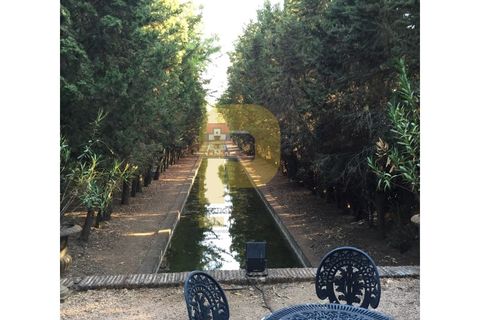 Villa a Elvas, Portalegre, Elvas - € 8.500.000 | Ref: PB2022286 - foto 30