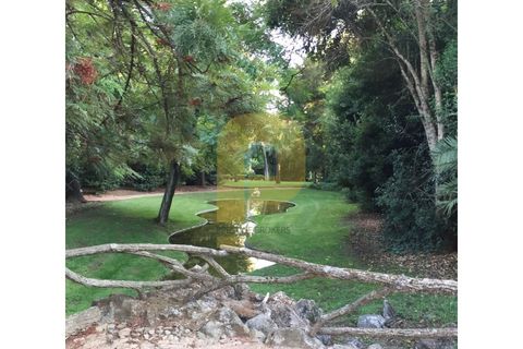 Villa a Elvas, Portalegre, Elvas - € 8.500.000 | Ref: PB2022286 - foto 31