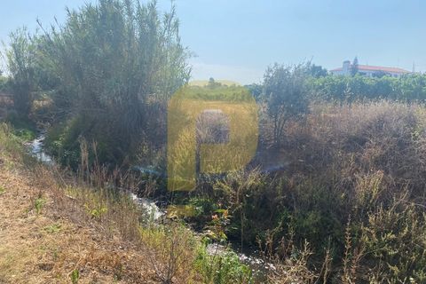 Terra a Estremoz, Evora, Estremoz - € 2.250.000 | Ref: PB2022264 - foto 18