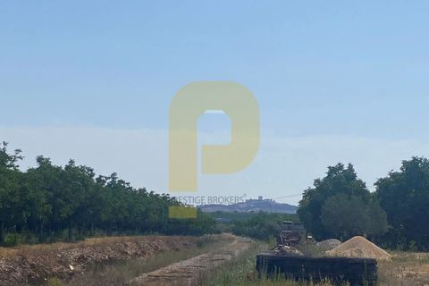 Terra a Estremoz, Evora, Estremoz - € 2.250.000 | Ref: PB2022264 - foto 20