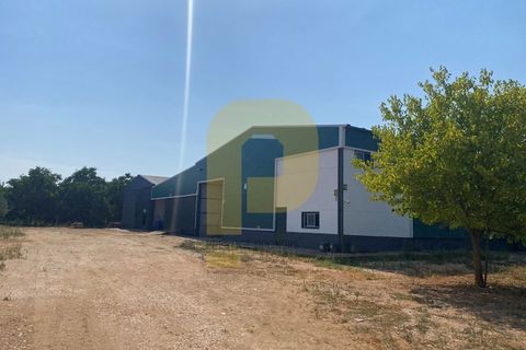 Terra a Estremoz, Evora, Estremoz - € 2.250.000 | Ref: PB2022264 - foto 25