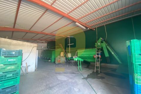 Terra a Estremoz, Evora, Estremoz - € 2.250.000 | Ref: PB2022264 - foto 28