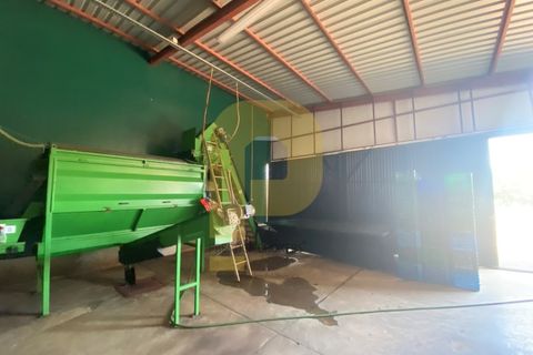 Terra a Estremoz, Evora, Estremoz - € 2.250.000 | Ref: PB2022264 - foto 30