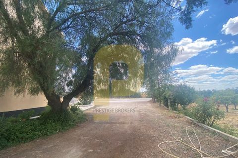 Villa a Arraiolos, Evora, Arraiolos - € 490.000 | Ref: PB2022257 - foto 17