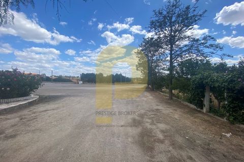 Villa a Arraiolos, Evora, Arraiolos - € 490.000 | Ref: PB2022257 - foto 20