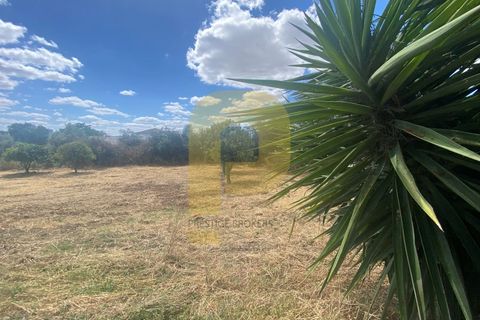 Villa a Arraiolos, Evora, Arraiolos - € 490.000 | Ref: PB2022257 - foto 23