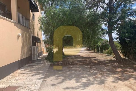 Villa a Arraiolos, Evora, Arraiolos - € 490.000 | Ref: PB2022257 - foto 24
