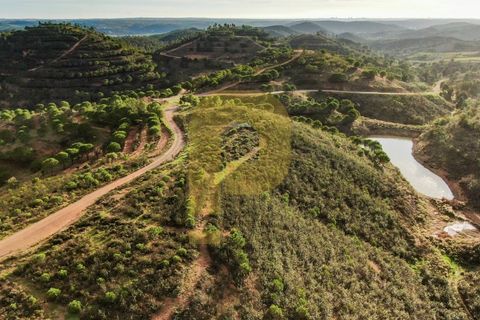 Landejendom i Silves, Faro, Silves - € 1.200.000 | Ref: PB2022279 - foto 4