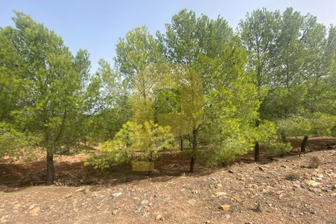 Landejendom i Silves, Faro, Silves - € 1.200.000 | Ref: PB2022279 - foto 9