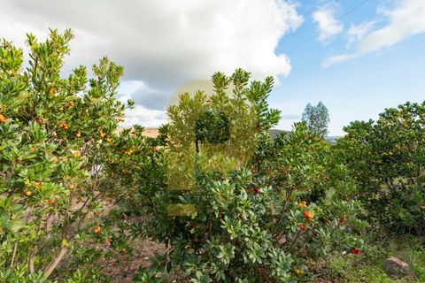 Landejendom i Silves, Faro, Silves - € 1.200.000 | Ref: PB2022279 - foto 13