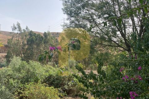 Landejendom i Silves, Faro, Silves - € 1.200.000 | Ref: PB2022279 - foto 15