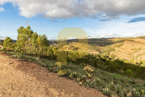 Landejendom i Silves, Faro, Silves - € 1.200.000 | Ref: PB2022279 - foto 16