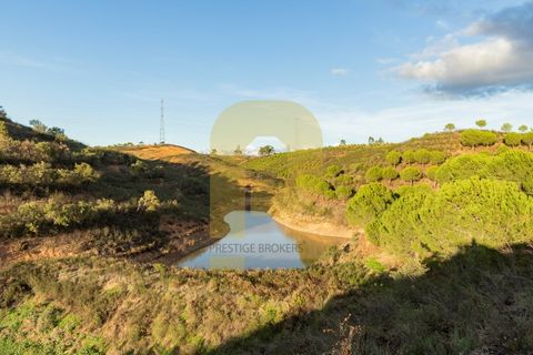 Landejendom i Silves, Faro, Silves - € 1.200.000 | Ref: PB2022279 - foto 18