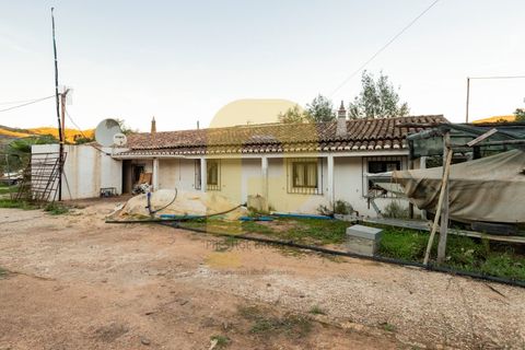 Landejendom i Silves, Faro, Silves - € 1.200.000 | Ref: PB2022279 - foto 32