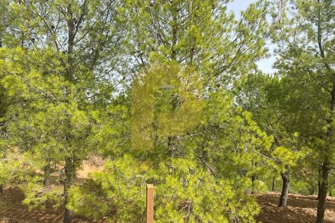 Landejendom i Silves, Faro, Silves - € 1.200.000 | Ref: PB2022279 - foto 41