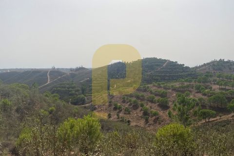 Landejendom i Silves, Faro, Silves - € 1.200.000 | Ref: PB2022279 - foto 42