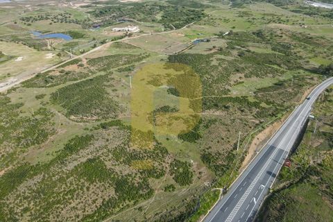 Helårsgrund i Castro Marim, Faro, Castro Marim - € 3.000.000 | Ref: PB2022229 - foto 29