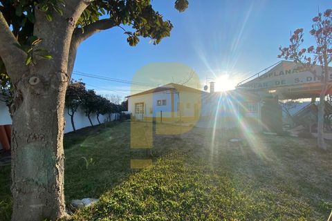 Villa i Mora, Evora, Mora - € 478.500 | Ref: PB2023305 - foto 23