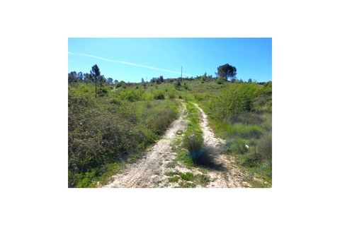 Helårsgrund i Coimbra, Coimbra, Coimbra - € 500.000 | Ref: SÒL_14 - foto 2