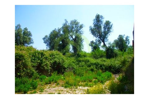 Helårsgrund i Coimbra, Coimbra, Coimbra - € 500.000 | Ref: SÒL_14 - foto 5