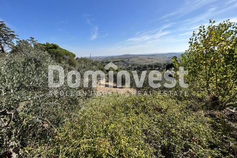 Villa i Capalbio, Grosseto, Capalbio - € 1.200.000 | Ref: 0003 - foto 2