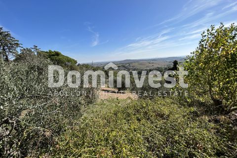 Villa i Capalbio, Grosseto, Capalbio - € 1.200.000 | Ref: 0003 - foto 3
