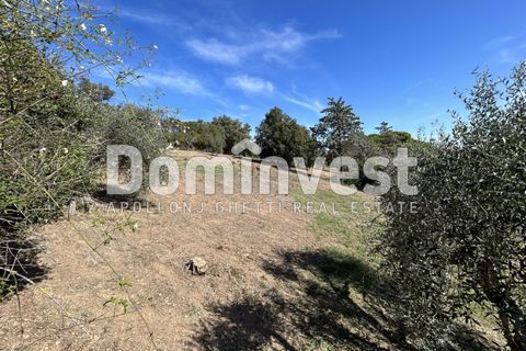 Villa i Capalbio, Grosseto, Capalbio - € 1.200.000 | Ref: 0003 - foto 19