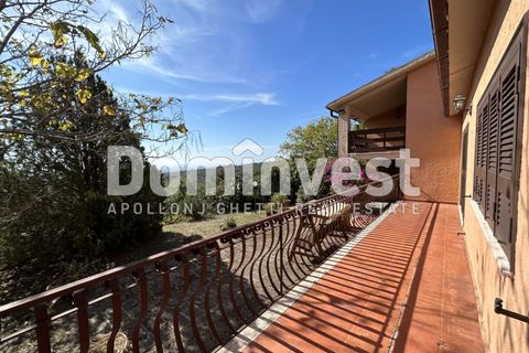 Villa i Capalbio, Grosseto, Capalbio - € 1.200.000 | Ref: 0003 - foto 30