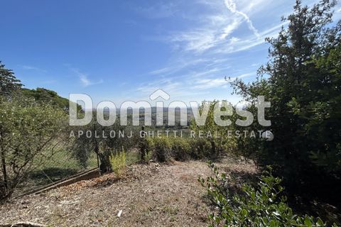 Villa i Capalbio, Grosseto, Capalbio - € 1.200.000 | Ref: 0003 - foto 31