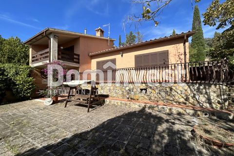Villa i Capalbio, Grosseto, Capalbio - € 1.200.000 | Ref: 0003 - foto 35