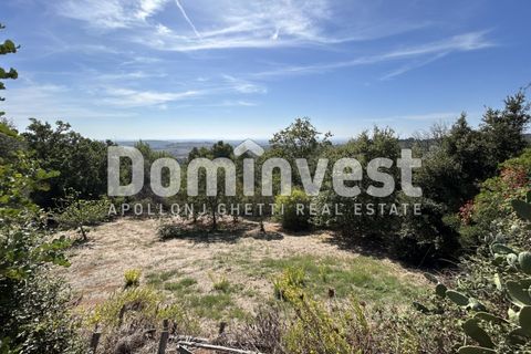 Villa i Capalbio, Grosseto, Capalbio - € 1.200.000 | Ref: 0003 - foto 36