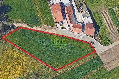 Helårsgrund i Vila do Conde, Porto, Vila do Conde - € 280.000 | Ref: IBC-1391 - foto 16
