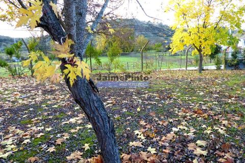 Villa a Mirandela, Braganca, Mirandela - € 850.000 | Ref: 9442_M - foto 8