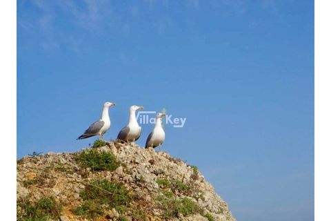 Helårsgrund i Lagos, Faro, Lagos - € 3.500.000 | Ref: T3741 - foto 13