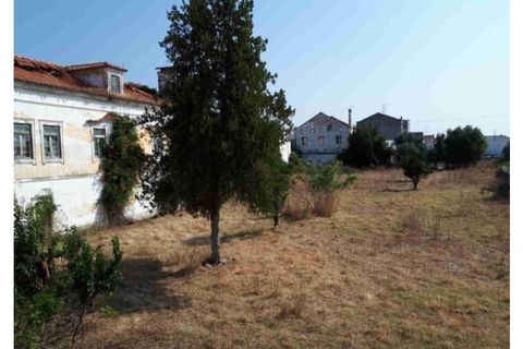 Villa a Abrantes, Santarem, Abrantes - € 250.000 | Ref: 23-IV-0118 - foto 4