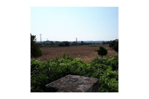 Villa a Abrantes, Santarem, Abrantes - € 250.000 | Ref: 23-IV-0118 - foto 9