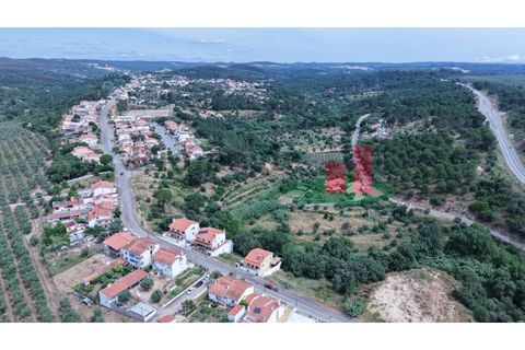 Grond in Abrantes, Santarem, Abrantes - € 35.000 | Ref: 803.23 - foto 11
