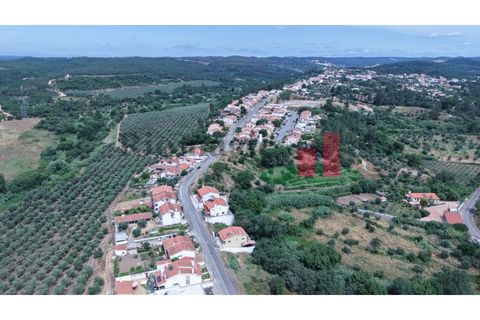 Grond in Abrantes, Santarem, Abrantes - € 35.000 | Ref: 803.23 - foto 12