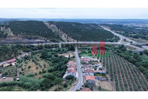 Grond in Abrantes, Santarem, Abrantes - € 35.000 | Ref: 803.23 - foto 16