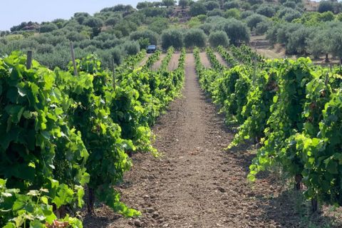 Helårsgrund i Noto, Siracusa, Noto - € 70.000 | Ref: SC 19 - foto 3