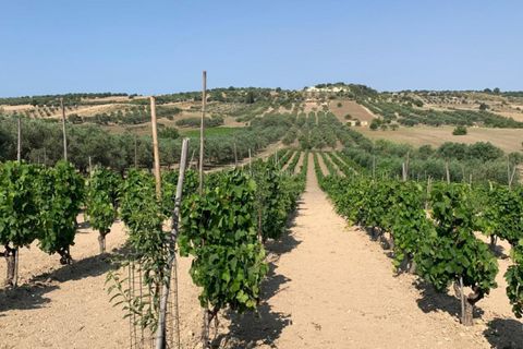 Helårsgrund i Noto, Siracusa, Noto - € 70.000 | Ref: SC 19 - foto 4