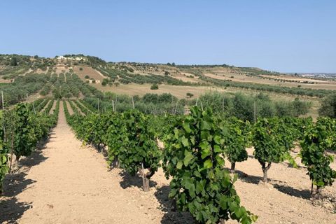 Helårsgrund i Noto, Siracusa, Noto - € 70.000 | Ref: SC 19 - foto 6