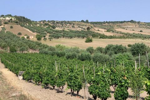 Helårsgrund i Noto, Siracusa, Noto - € 70.000 | Ref: SC 19 - foto 7