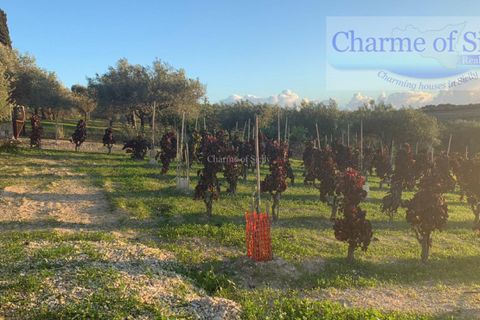 Helårsgrund i Noto, Siracusa, Noto - € 70.000 | Ref: SC 19 - foto 13